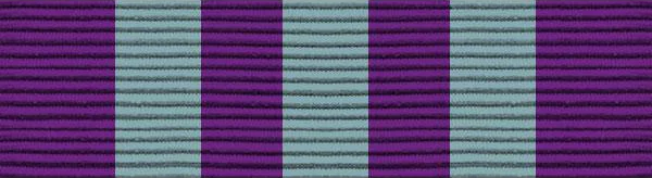 NCSA Ribbon